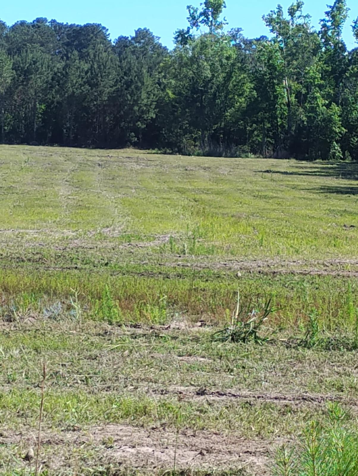 farmboydemolition_23